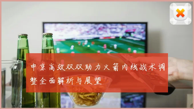 申京高效双双助力火箭内线战术调整全面解析与展望
